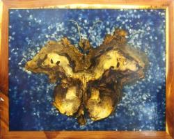 Burl-terfly by Joe Howard