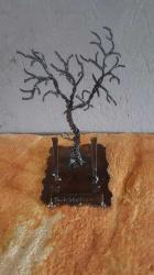 Card Holder #15 by Jack Wolfsen