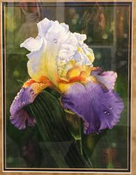 Spring Desire (Iris) by Soon%20Y%20Warren