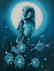 Magic in the Night by Steven Lingham