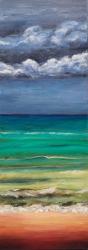 Storm Rolling In by Cathy Crain