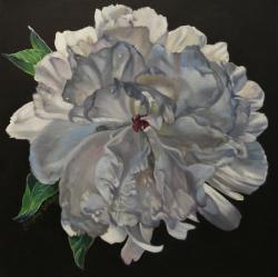 Festiva Peony by Jo LeMay Rutledge