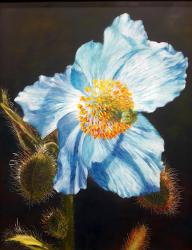 Cactus Bloom by Soon Y Warren