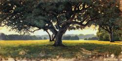 Morning Light by Joel Edwards
