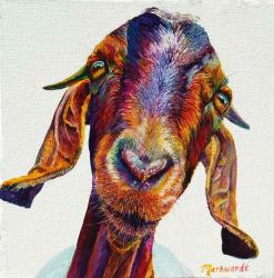 A Little Nosey 30/150 by Sharon Markwardt's Prints