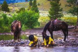 Creekside by Pamela Steege