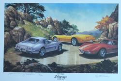 Stringray Soft Nose, Corvette 81/200 by Bob Cook