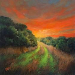 Wandering by Rebecca Zook