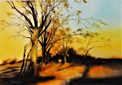 Golden Morning in Arles, France by Bob Cook