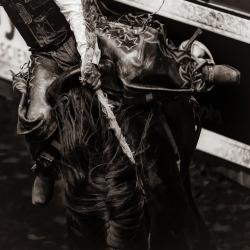 Its the Rope and the Reins 2/50 by Pamela Steege