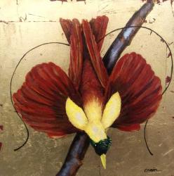 Bird of Paradise In Flight by Cathy Crain