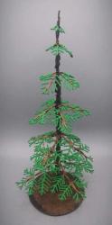 Evergreen Tree by Jack Wolfsen