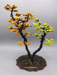 Changing Seasons Tree #381 by Jack Wolfsen