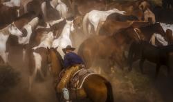 Holdn' On by Pamela Steege