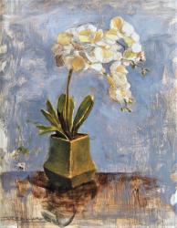 Floral by Joel Edwards