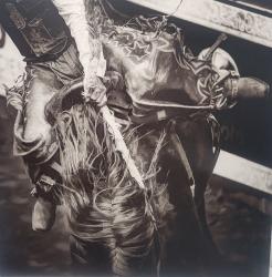 The Rope and The Reins 3/50 by Pamela Steege