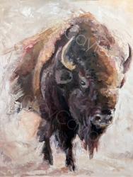 Dust of a Bison by Audrey Caylor