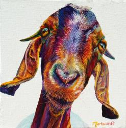 A Little Nosey 33/150 by Sharon Markwardt's Prints