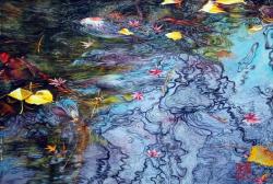 Koi Pond Fall by Soon Y Warren