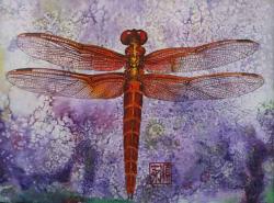 Dragonfly Dream by Soon Y Warren