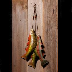 Hanging Trout by Bill Kennedy