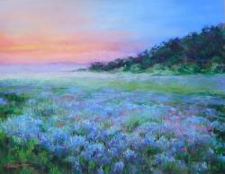 Bluebonnet Sunset by Ginny Knight
