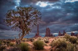 Yucca and Totems by Pamela Steege