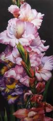 Gladiolus by Soon Y Warren
