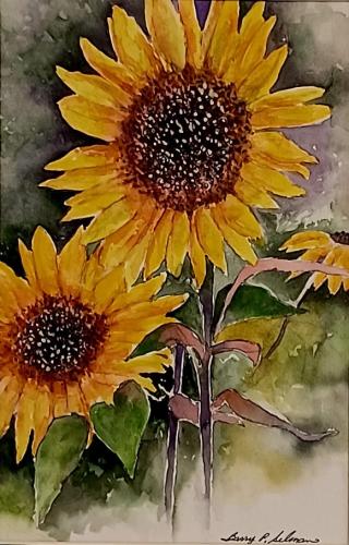 Sunflower Series II by Barry L. Selman
